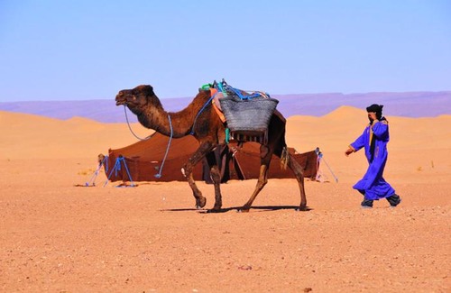 M'Hamid El Ghizlane Other | Camp Sahara Travel
