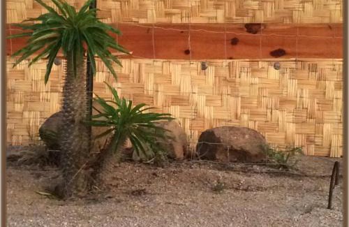 Todos Santos House | Camp - Santos Cabanas