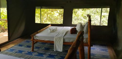 Mloka Other | Camp Seluu - Join Safari