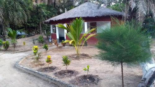 Abeme Bed & Breakfast | Campement les Antilles