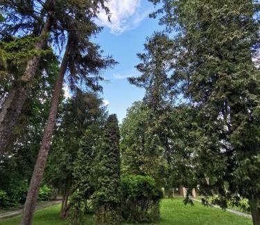 Jelgava Other | Camper and tent place in Jelgava