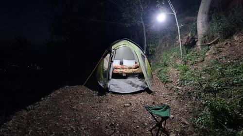 Shilla Other | Campfire Bliss