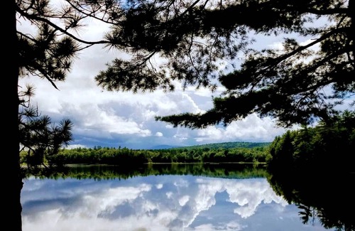 Bennington Other | Camping ∙ 1 bedroom ∙ 2 guests
