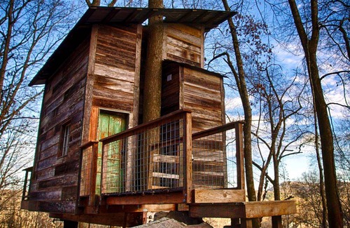 Flintstone Other | Camping ∙ 1 bedroom ∙ 4 guests