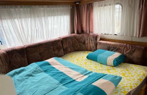 Cadenazzo Other | Camping Alex