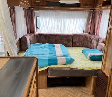 Cadenazzo Other | Camping Alex