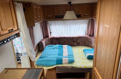 Cadenazzo Other | Camping Alex