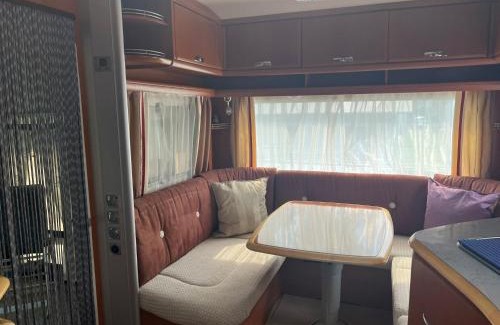 Cadenazzo Other | Camping Alex