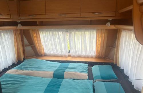 Cadenazzo Other | Camping Alex