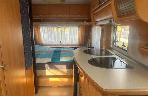 Cadenazzo Other | Camping Alex