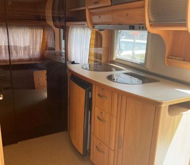 Cadenazzo Other | Camping Alex