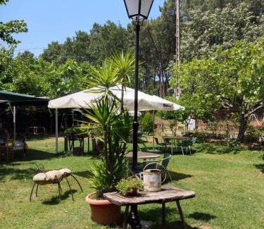Jarandilla de la Vera Other | CAMPING-BUNGALOWS-CABAÑAS LA VERA