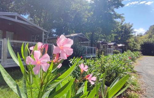 Les Epesses Other | Camping Capfun La Bretèche