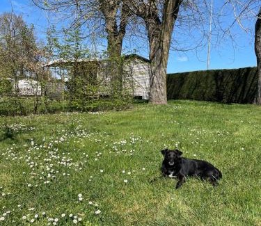 Gracay Other | Camping de Graçay