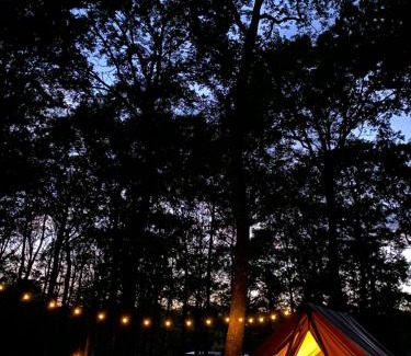Sille-le-Guillaume Other | Camping de la Forêt Seasonova