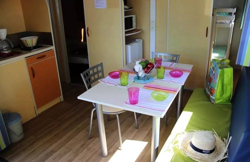 Asserac Ski Chalet | Camping Domaine de Pont Mahé* - Chalet Némo 3 Rooms 2/4 Persons