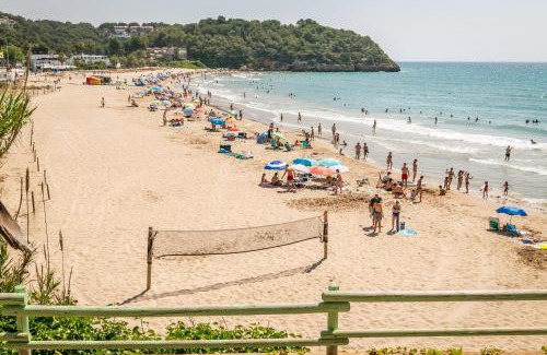 Tamarit Other | Camping Estival Torre de la Mora