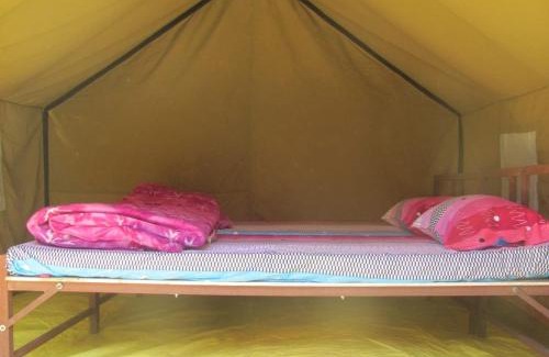 Dugalbitta Other | Camping Huts at Lord Shiva Camps