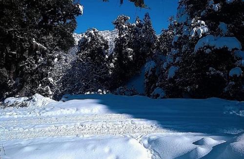 Dugalbitta Other | Camping Huts at Lord Shiva Camps
