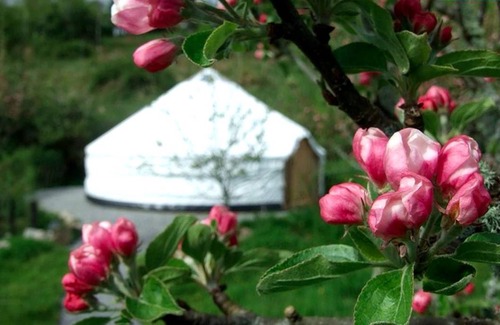 Drumkeeran Other | Camping ∙ 1 bedroom ∙ 5 guests
