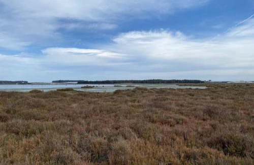Moulay Bousselham Other | Camping Kbir