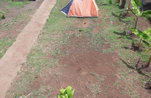 Hanga Roa RV Rental | camping la mejor opción para tu estadía en la isla de Rapa Nui