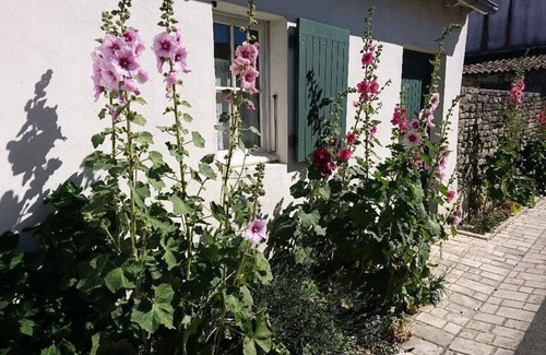 Rivedoux-Plage House | Camping Les Fougères* - Mobile Home 4 Rooms 6 People