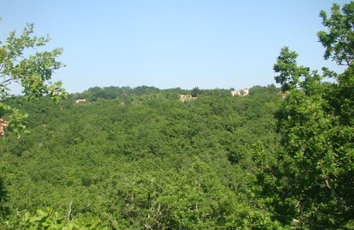 Saint-Pierre-Lafeuille Other | CAMPING LES GRAVES - Cabane TITHOME