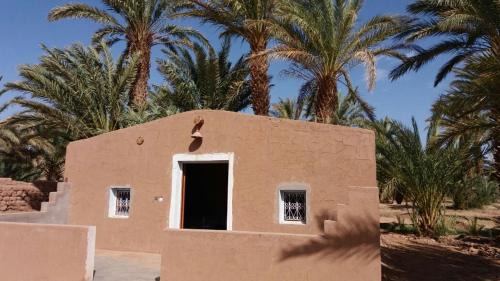 Tagounite Other | Camping Les Palmeraies