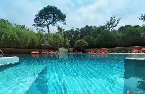 Saint-Augustin Other | Camping Les Pins de Sel