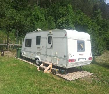 Ocolis Other | Camping Lunca Larga Apuseni