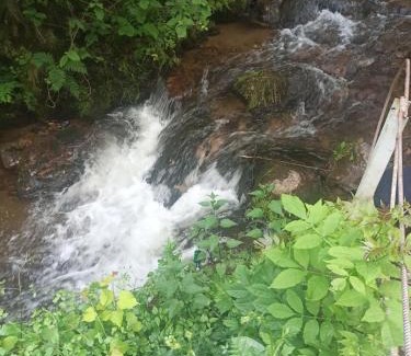 Ocolis Other | Camping Lunca Larga Apuseni