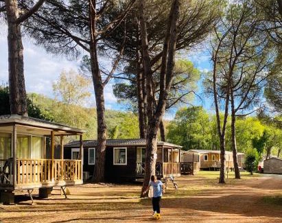 Maureillas-Las-Illas Other | Camping Maureillas