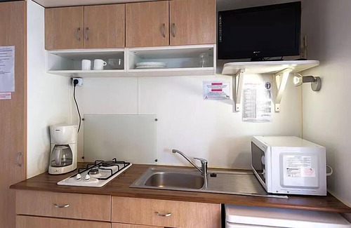 Arles-sur-Tech House | Camping Paradis le Vallespir* - Mobile home Colchique 2 rooms 2 people