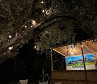 Qeparo Other | Camping Qeparo