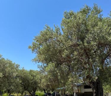 Qeparo Other | Camping Qeparo