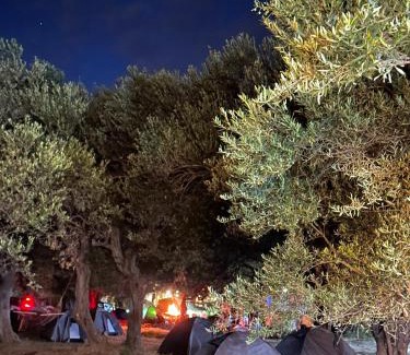 Qeparo Other | Camping Qeparo