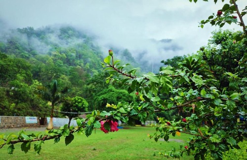Taliyal Gaon Other | Camping Riverside By Hilton Greens