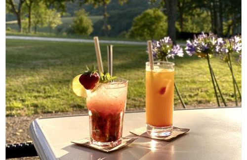 Rouffignac-Saint-Cernin-de-Reilhac Resort | Camping Rouffignac-St-Cernin