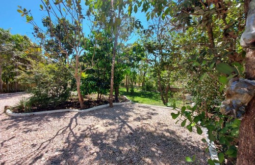 Cavalcante Other | Camping Serra Santana