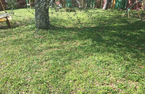 San Souci Estates RV Rental | Camping space for rent.nOne person tent ⛺ available