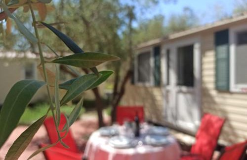Kraj Resort | Camping Torkul