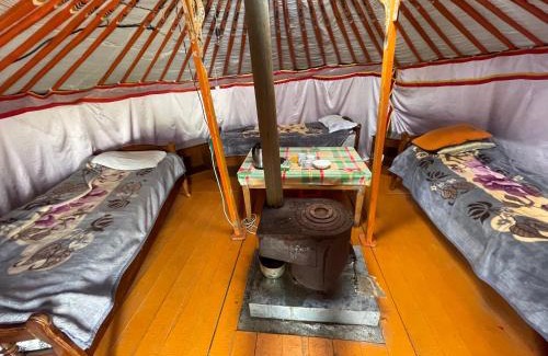 Ulaanbaatar Other | Camping turtle rock