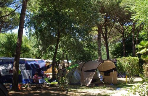 Ca' Savio Other | Camping Valdor Camper & Pitch