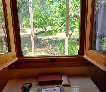 Eva Other | Campo Elea - Messénia Guest House