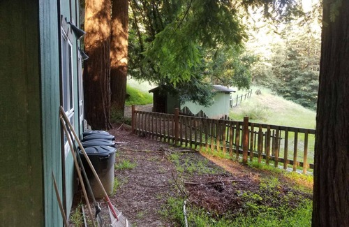 Los Gatos RV Rental | Campsite #11 Enchanted Forest Redwood Mountain Retreat