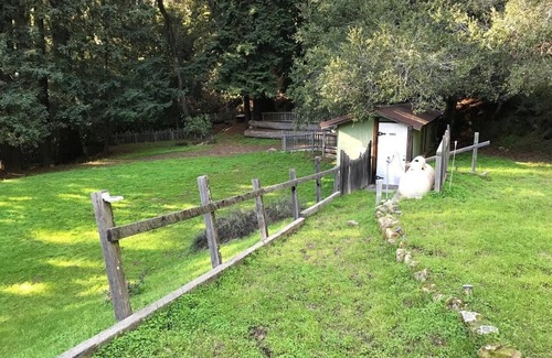 Los Gatos RV Rental | Campsite #11 Enchanted Forest Redwood Mountain Retreat