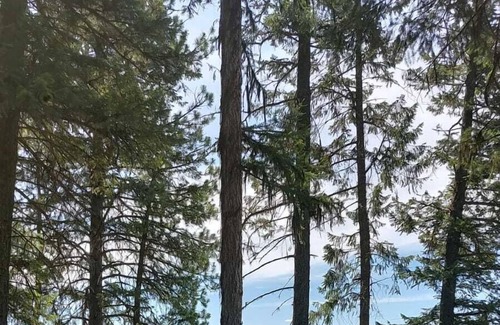 Olney RV Rental | Campsite #3 with Lake Access