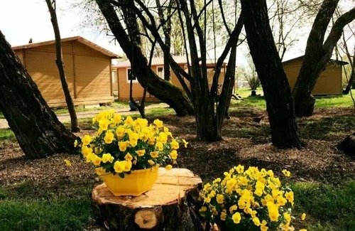 Belfort Ski Chalet | Campsite L'Etang des Forges* - Chalet Trianon 3 Rooms 4 People