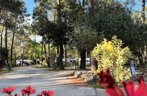 Bollene House | Campsite La Simioune in Provence * - Mobilhome TOURNESOL Air-conditioned+comfort - 3 bedrooms +TV (4 adults + 2 children) 4 to 6 people - 4 pers. included in the tariff